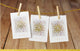 Downlights Standard Blank Greeting Card NZ