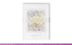 DL Christmas Standard Greeting Card