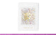 DL Christmas Standard Greeting Card