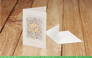 DL Standard Season Greeting Card NZ